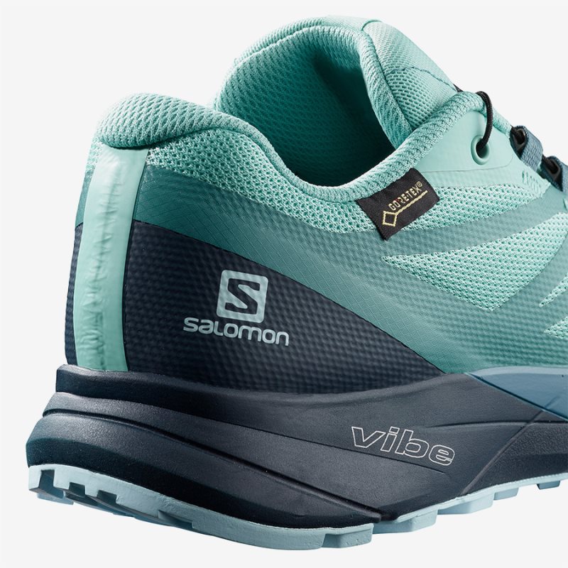 Salomon sense sale ride 2 gtx